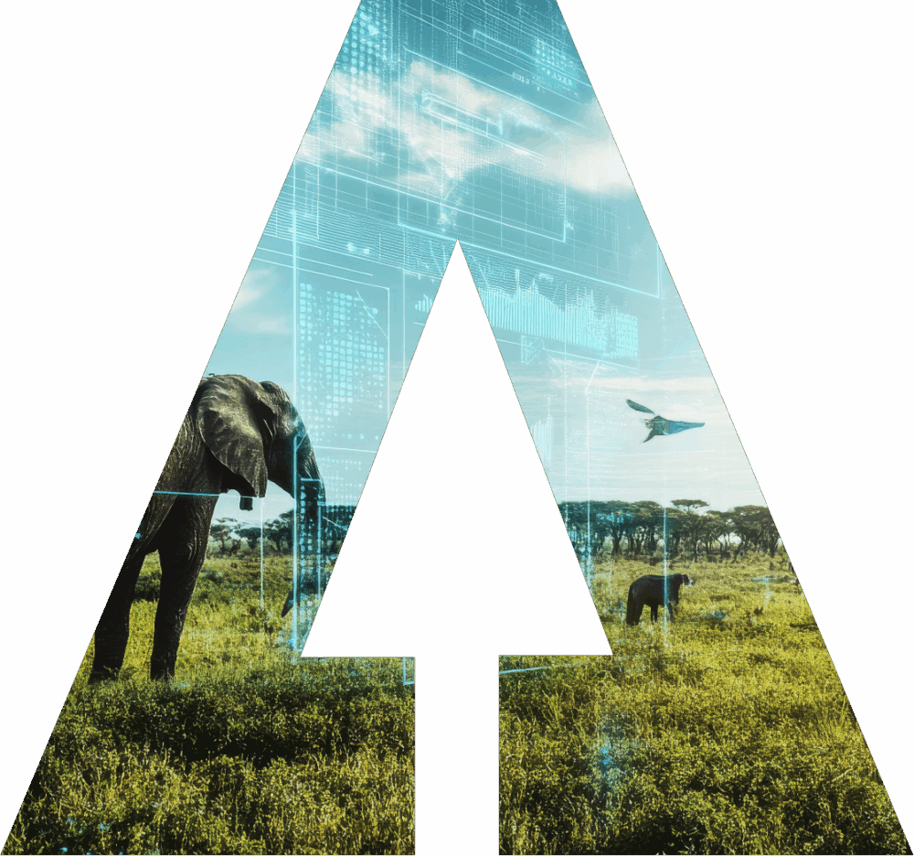 Discovery - AI for Biodiversity