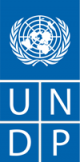 UNDP-100x