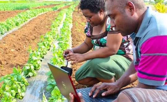 How AI can improve agriculture for better food security