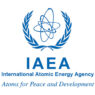 IAEA-1x1