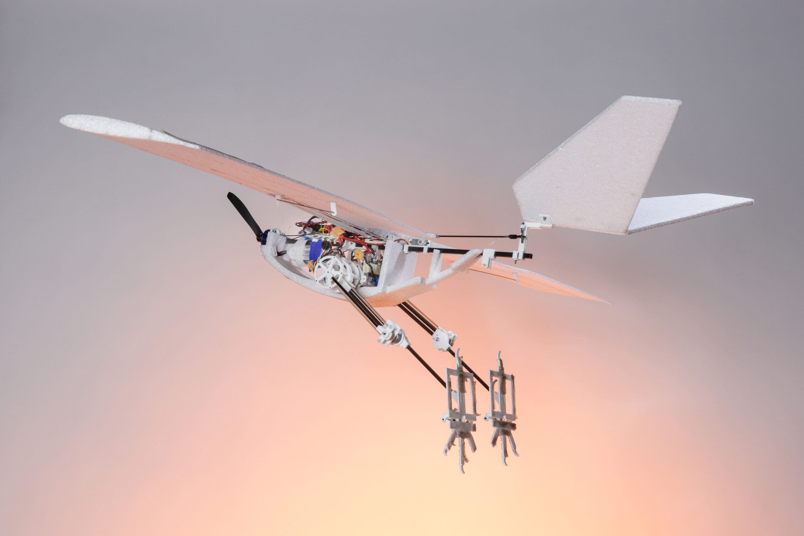 Mit Raven RAVEN (Robotic Avian-inspired Vehicle for multiple ENvironments) - AI ...