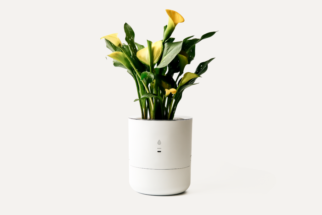 LeafyPod Planter