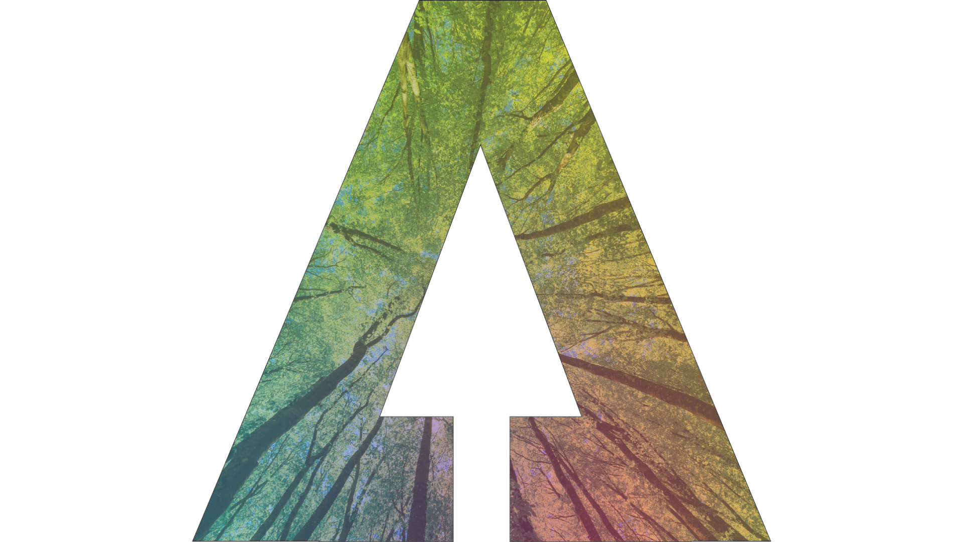 AI and Climate Science