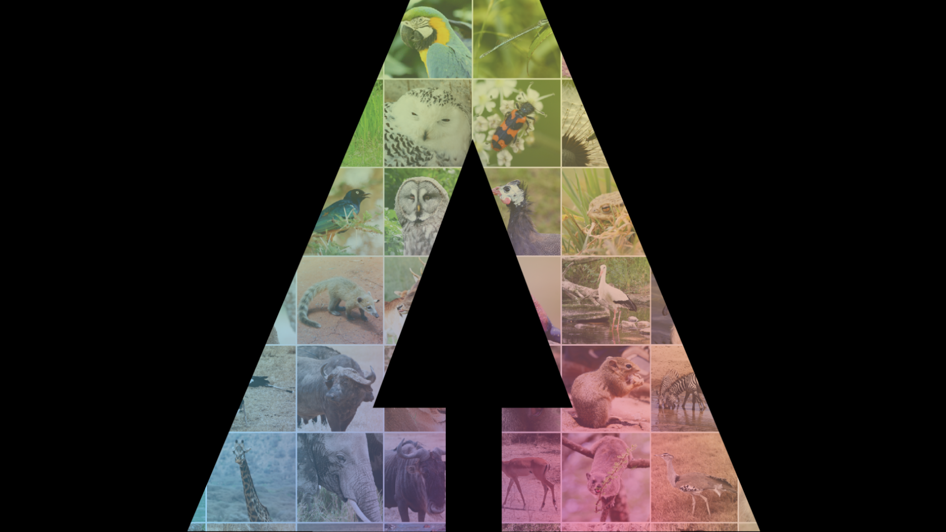 Biodiversity conservation planning with reinforcement learning