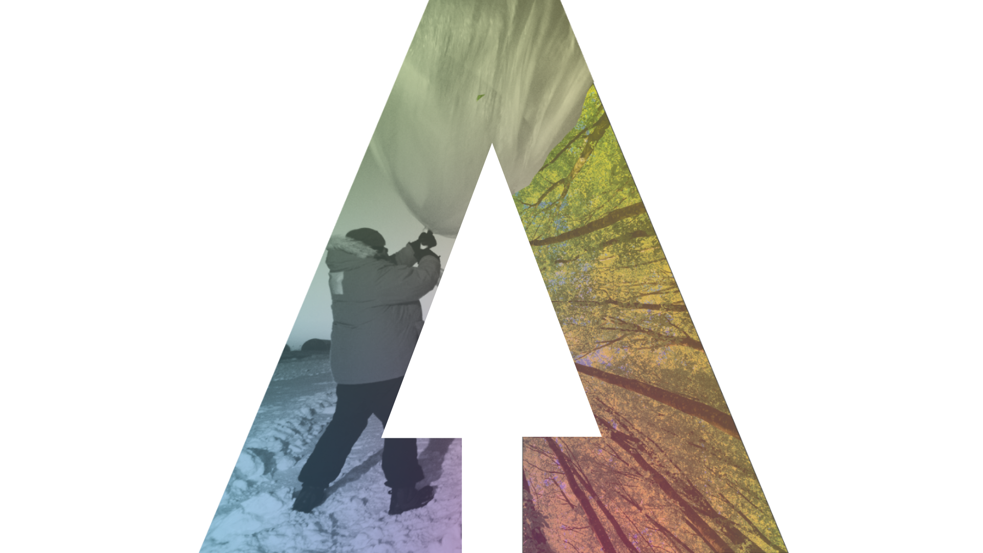 AI for Earth and Sustainability Science