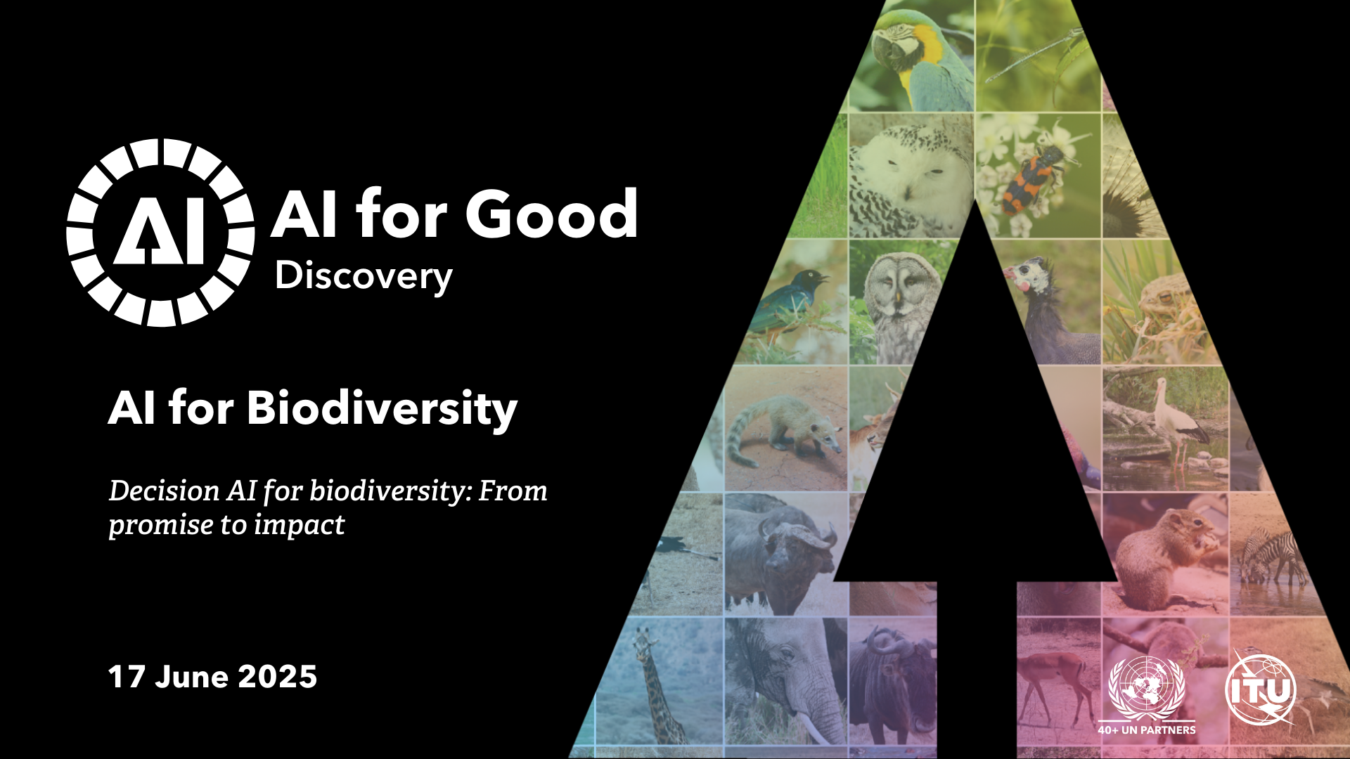 Decision AI for biodiversity: From promise to impact