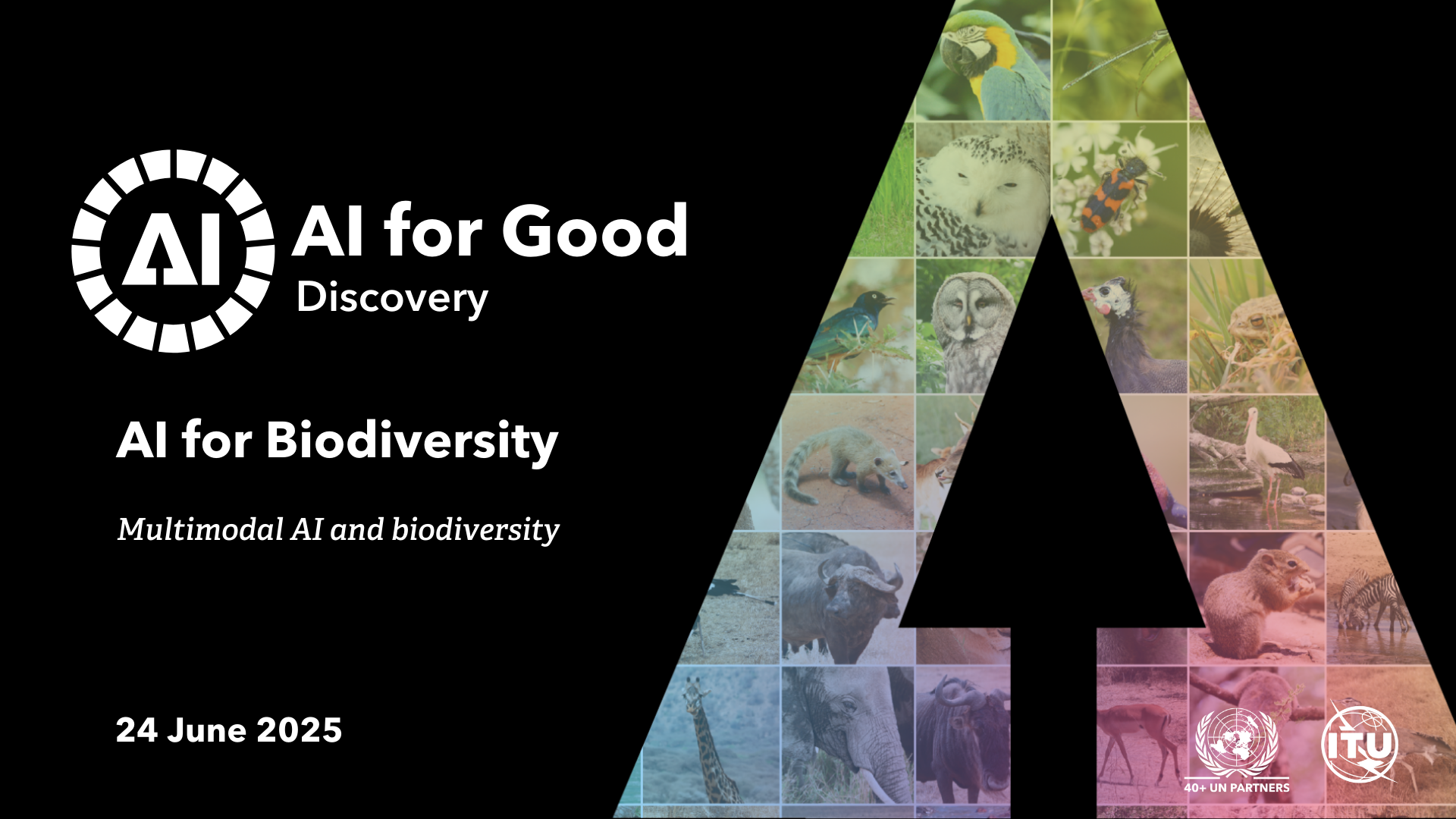 Multimodal AI and biodiversity