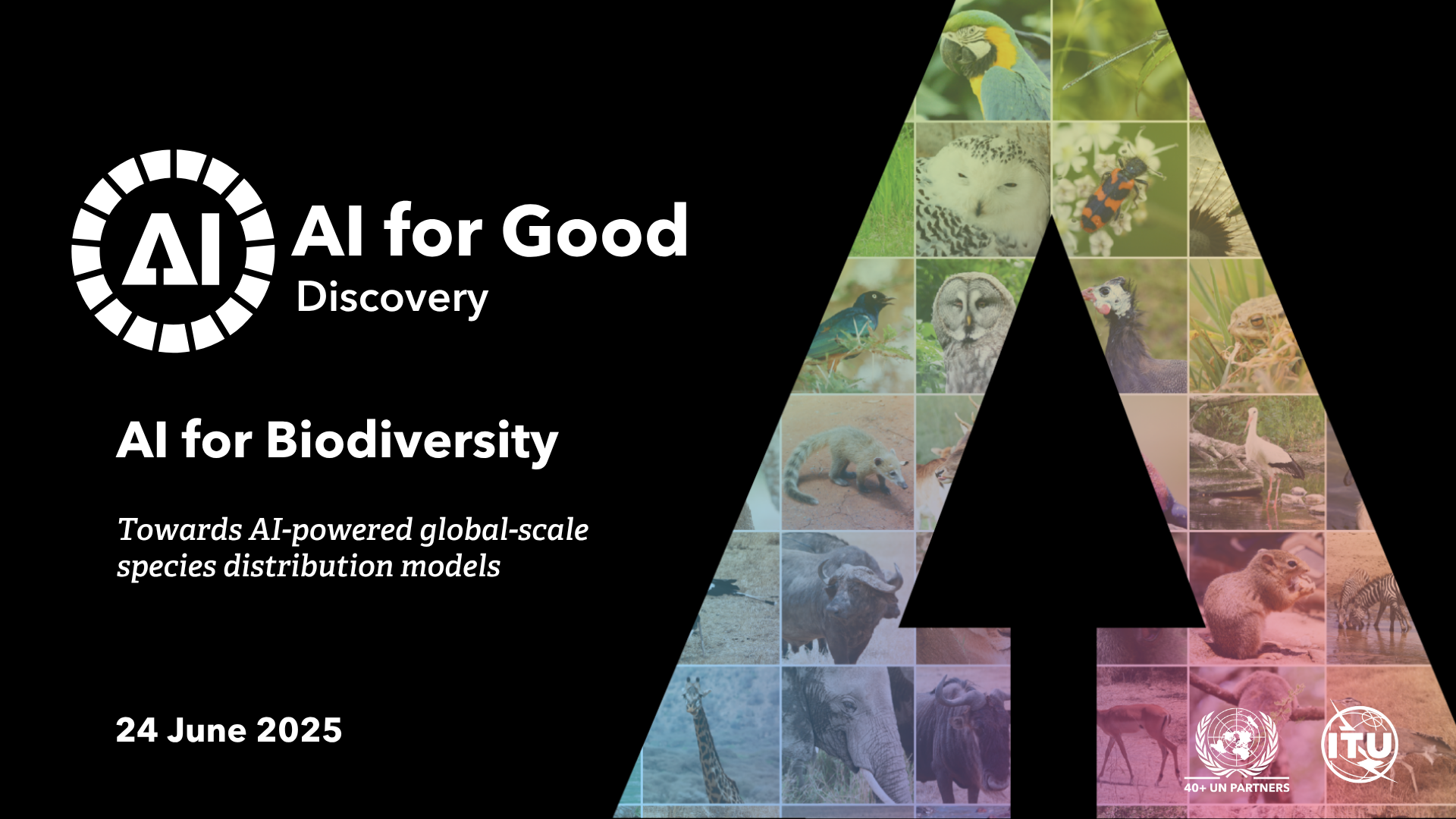Towards AI-powered global-scale species distribution models
