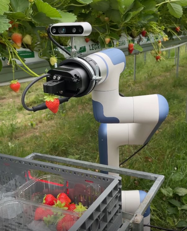 MiFood Robot