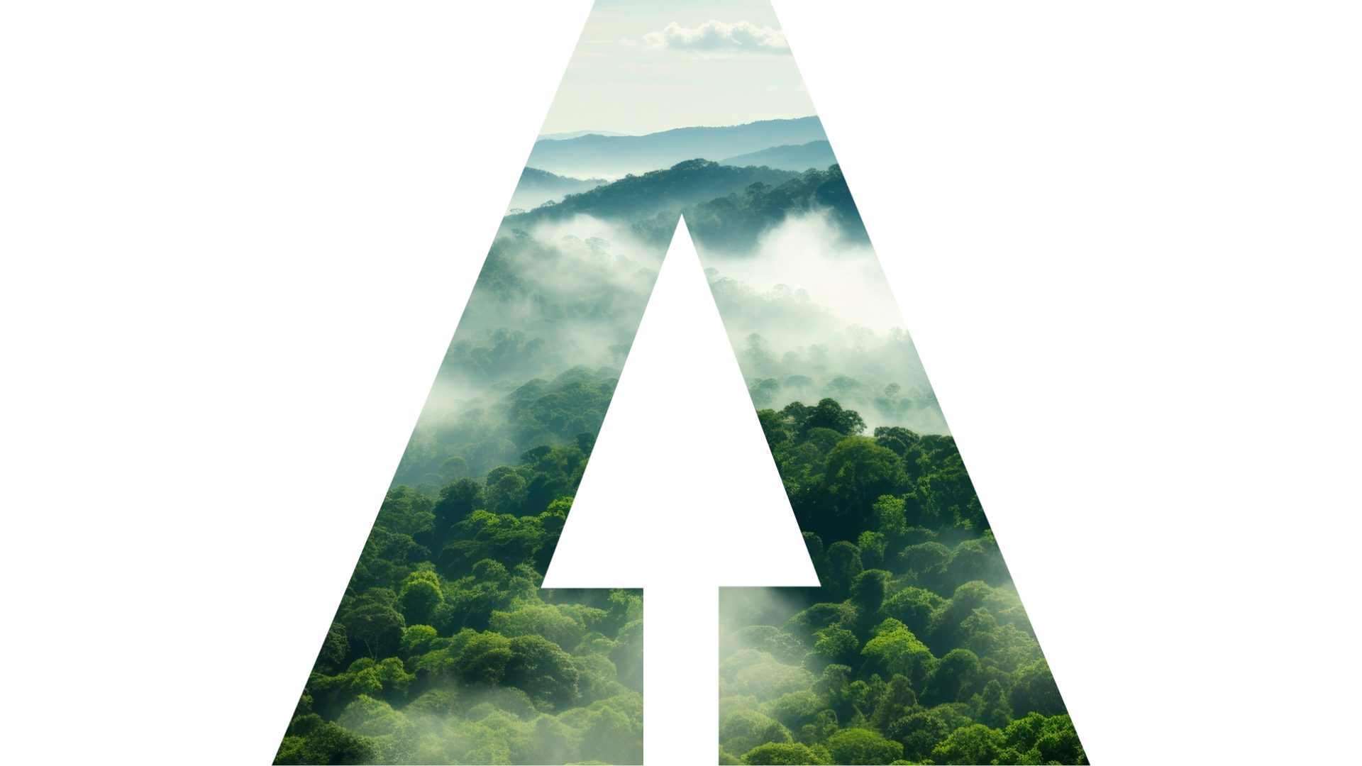 AI and Climate Science