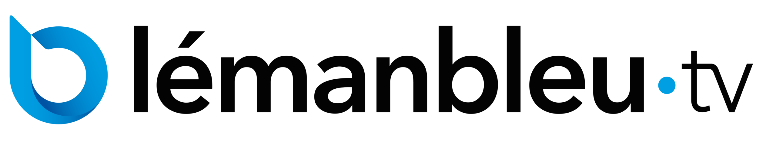 Logo Type 2 - noir et bleu